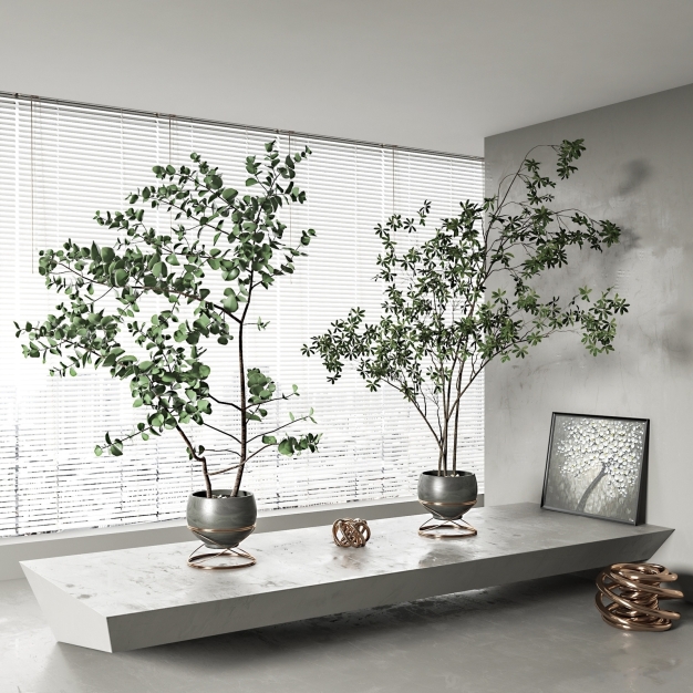 现代植物盆栽3D模型